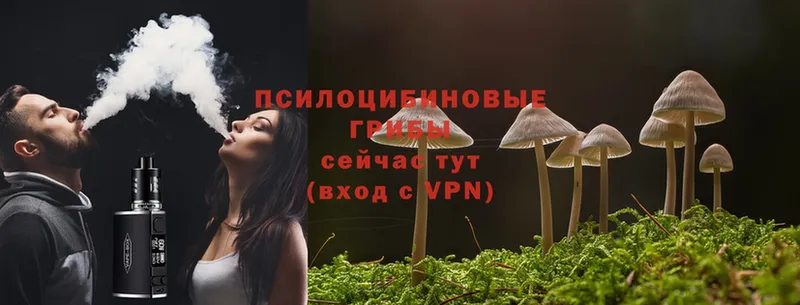 Галлюциногенные грибы Magic Shrooms  Кириллов 